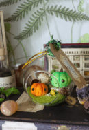Curcubitis pepo, Petites citrouilles verte et orange