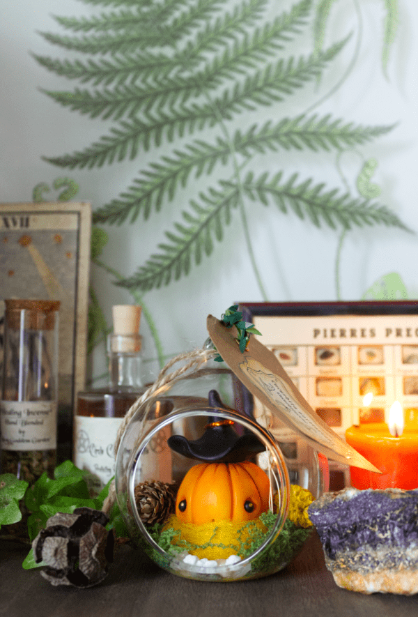 Curcubita sorciarus, Petite sorcière citrouille orange – Image 3