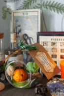 Curcubitis pepo, Petites citrouilles orange et verte