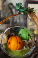 Curcubitis pepo, Petites citrouilles orange et verte