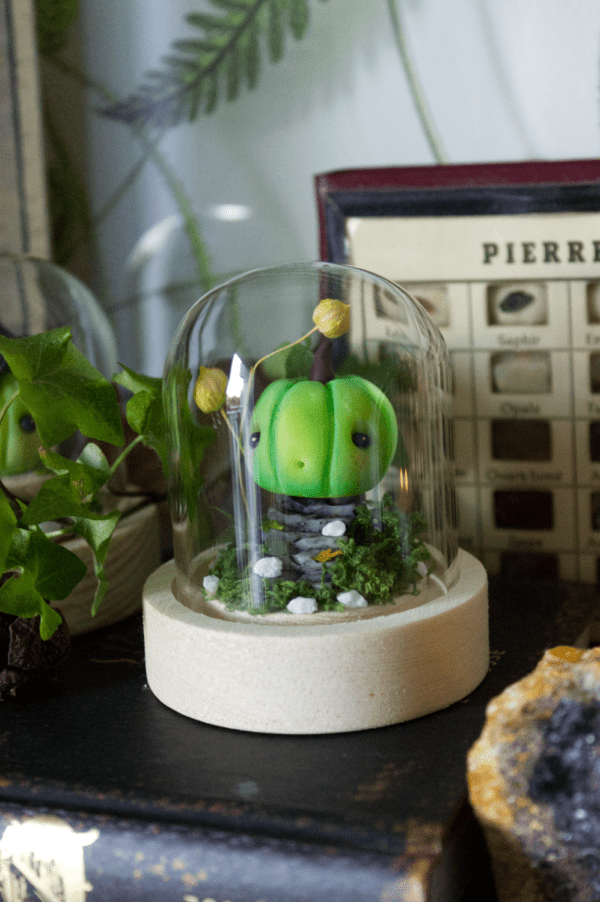 Curcubita pepo, Petite citrouille verte