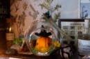 Curcubita sorciarus, Petite sorcière citrouille orange