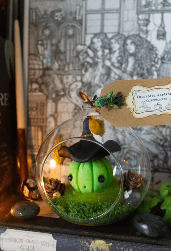 Curcubita sorciarus, Sorcière citrouille verte