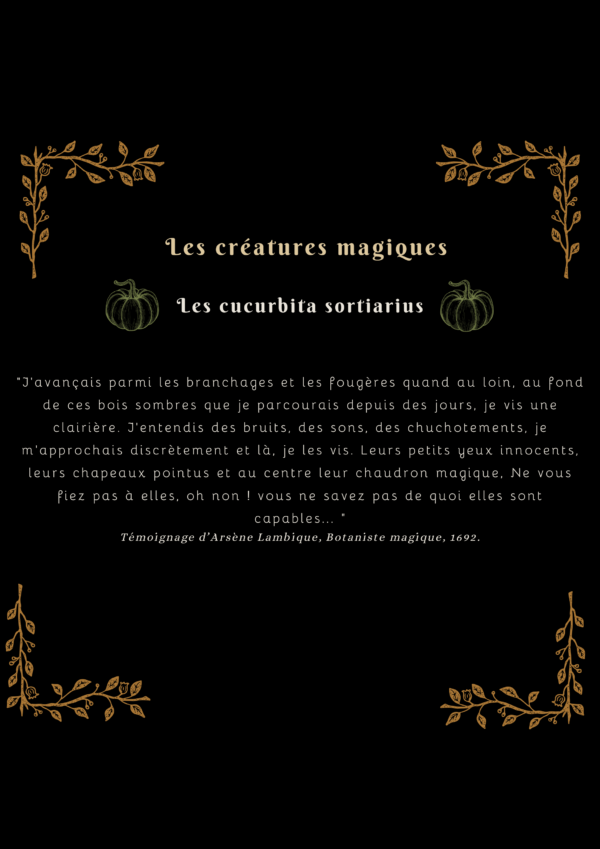 Curcubita sorciarus, Petite sorcière citrouille orange – Image 5