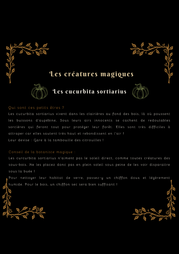 Curcubita sorciarus, Petite sorcière citrouille orange – Image 6