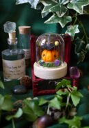 Curcubita sorciarus, Petite sorcière citrouille orange