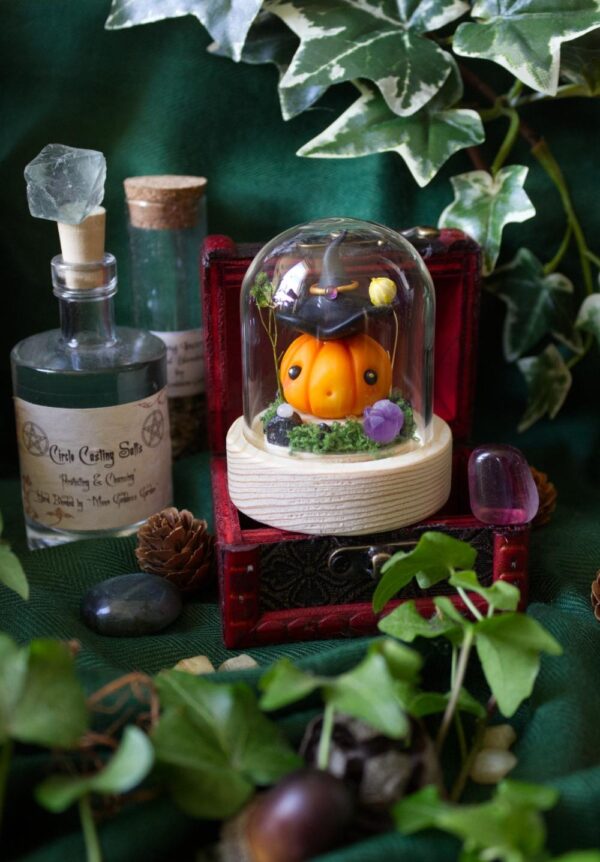 Curcubita sorciarus, Petite sorcière citrouille orange – Image 2