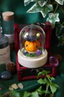 Curcubita sorciarus, Petite sorcière citrouille orange